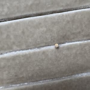 FACET U Day/Light 14K Gold Stud