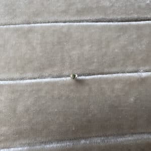 MIST 14K Gold Stud w. Green Diamond