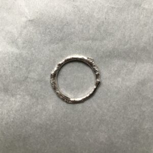 NATURE Day Re-cycled Silver Ring